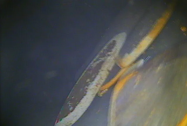 LDS1000™ watermain leak detection image 3